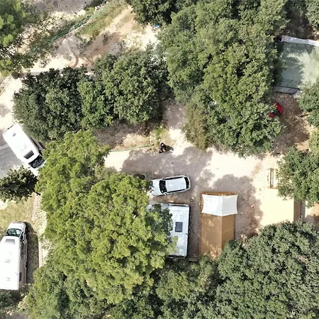 Glamping Tent 豪华帐篷 罗维尼